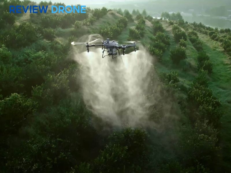 máy bay rải phân máy bay rải phân