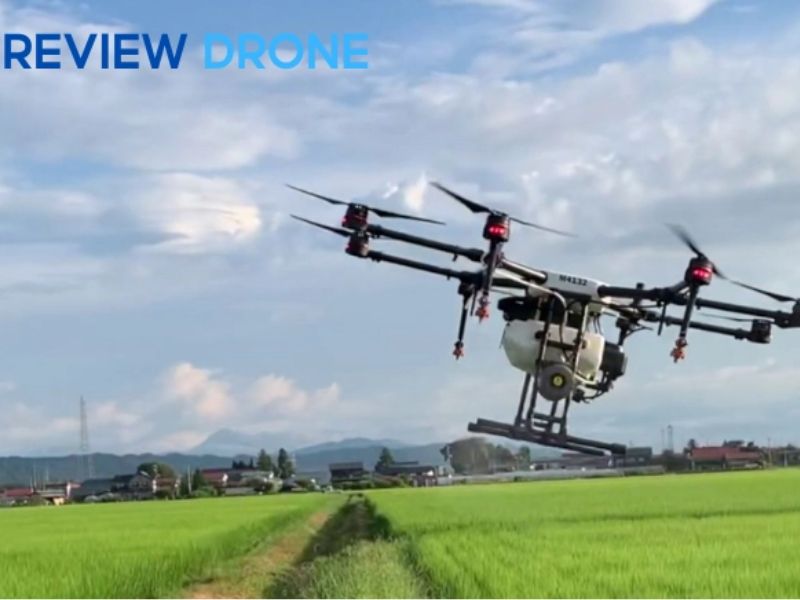 Dự báo sản lượng và logistics Dự báo sản lượng và logistics