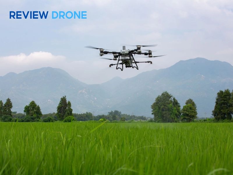 máy bay phun thuốc sầu riêng