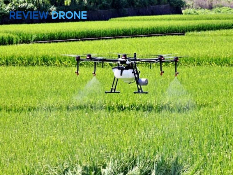 Phun thuốc trừ sâu và phân bón lỏng