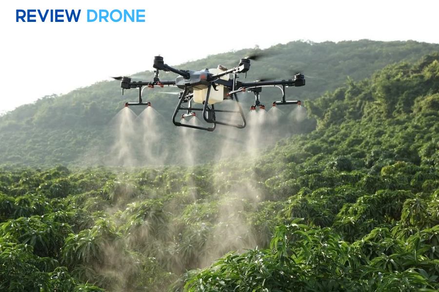 So sánh DJI Agras T50 và T30: Nên chọn bản nào năm 2025?