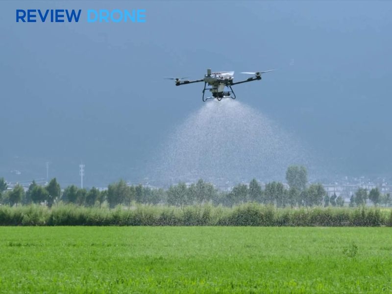 máy bay phun thuốc cây đào  máy bay phun thuốc cây đào