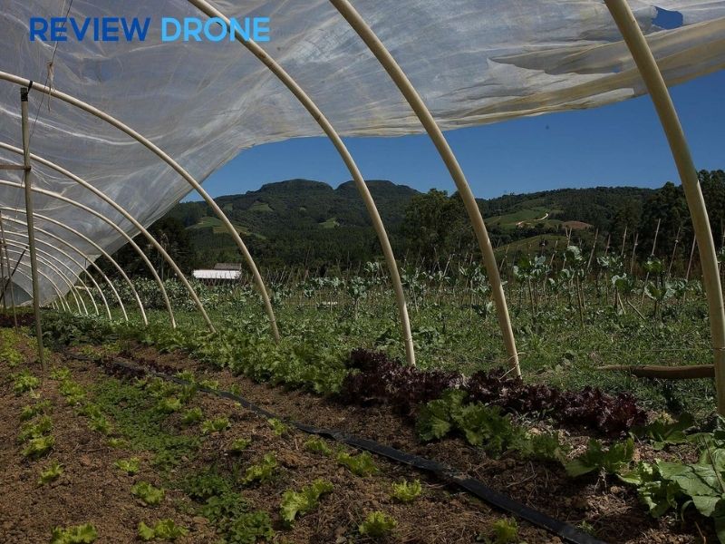 nông nghiệp sinh thái